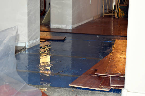 Professional Basement Water Removal technician working in Mansfield, PA